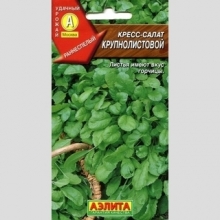 Кресс-салат Крупнолистовой