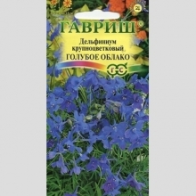 Дельфиниум Голубое облако