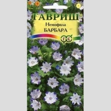 Немофила Барбара пятнистая