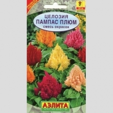 Целозия Пампас Плюм, смесь