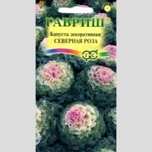Капуста Северная роза декоративная