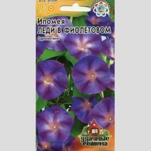 Ипомея Леди в фиолетовом