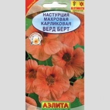 Настурция Верд Берд (низкорослая)