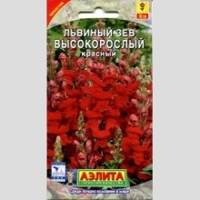 Львиный зев Высокорослый красный