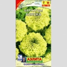 Бархатцы Аляска