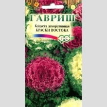 Капуста Краски востока декоративная