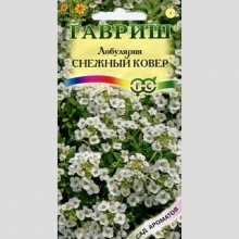 Лобулярия Снежный ковер