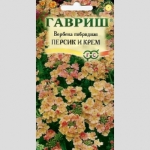 Вербена Персик и Крем
