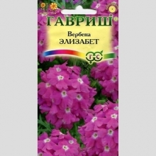 Вербена Элизабет