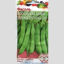 Фасоль Московская белая зеленостручная 556