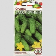 Огурец Засолочный
