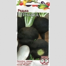 Редька Чернавка