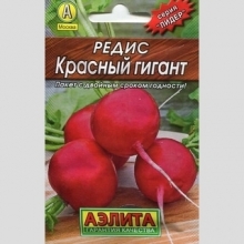Редис Красный гигант