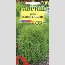 Кохия Летний кипарис (веничная)