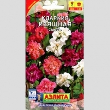 Кларкия Изящная смесь