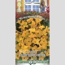 Табак Солнечный зайчик душистый