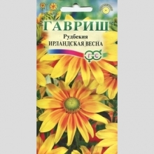 Рудбекия Ирландская весна