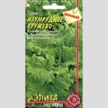 Салат Изумрудное кружево