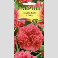 Гвоздика Розина (Шабо)