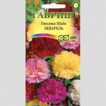 Гвоздика Шабо Акварель смесь