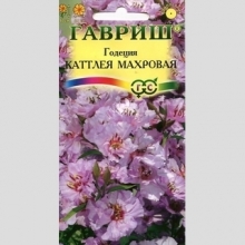 Годеция Каттлея