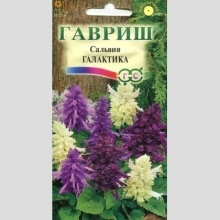 Сальвия Галактика смесь