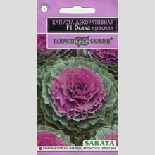 Капуста Осака красная F1 декоративная