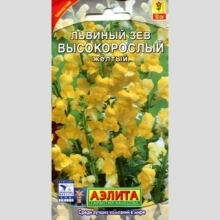 Львиный зев Высокорослый желтый