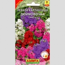 Левкой Дюймовочка смесь