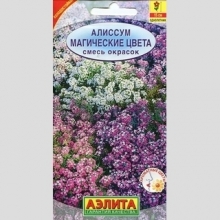 Алиссум Магические цвета смесь