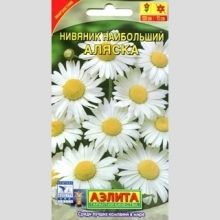 Нивяник Аляска