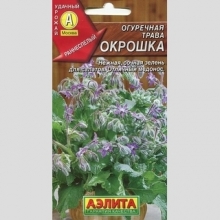 Огуречная трава Окрошка (бораго)