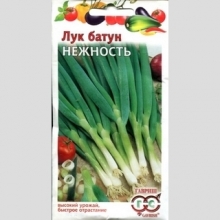 Лук Нежность