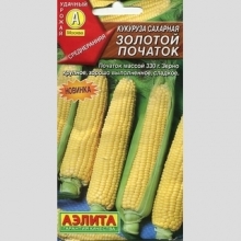 Кукуруза Золотой початок