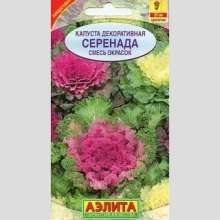 Капуста Серенада (декоративная)