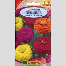 Цинния Пумилла смесь