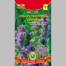 Иссоп Синий