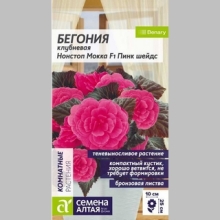 Бегония Нонстоп Мокка F1 Пинк шейдс клубневая