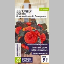 Бегония Нонстоп Мокка F1 Дип Оранж клубневая