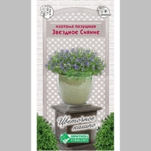 Изотома Звездное Сияние (пазушная)