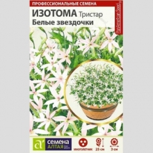 Изотома Тристар Белые звездочки