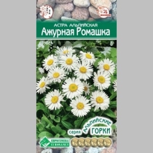 Астра Ажурная ромашка (альпийская)