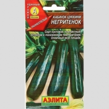 Кабачок Негритенок