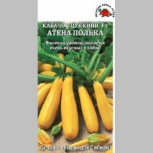Кабачок Атена Полька F1