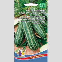 Кабачок Египетская Сила