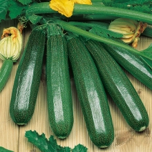 Кабачок Уральская усадьба