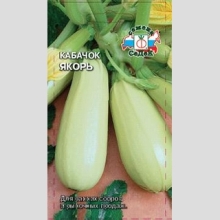 Кабачок Якорь