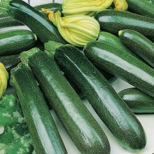 Кабачок Уголек