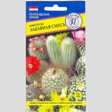 Кактус Забавная Смесь
