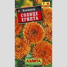 Календула Солнце Египта